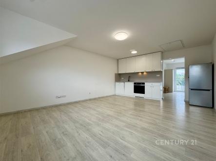 Pronájem bytu, 2+kk, 51 m²