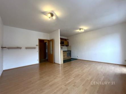 Pronájem bytu, 1+kk, 44 m²