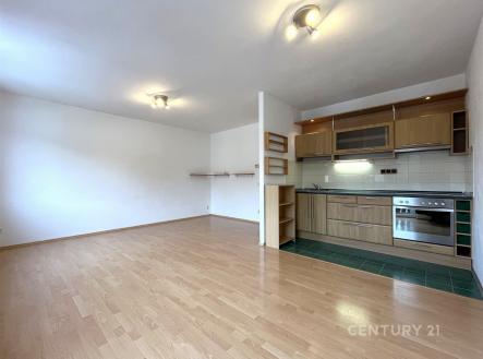 Pronájem bytu, 1+kk, 44 m²