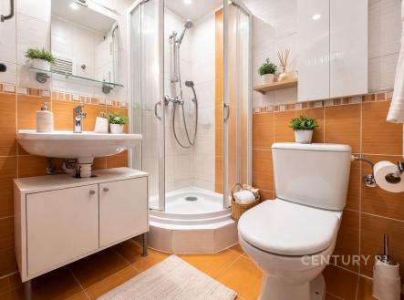 Prodej bytu, 1+kk, 25 m²