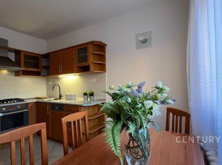 Pronájem bytu, 2+1, 54 m²