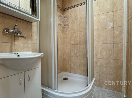 Pronájem bytu, 3+1, 81 m²