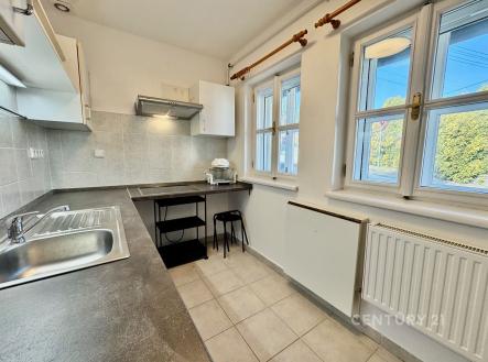 Pronájem bytu, 1+1, 45 m²