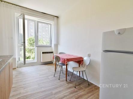 Pronájem bytu, 1+1, 42 m²
