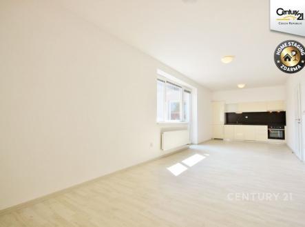 Pronájem bytu, 1+kk, 40 m²