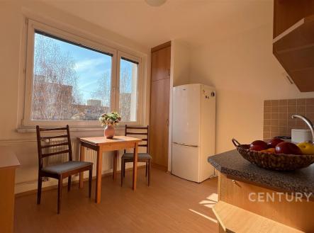 Pronájem bytu, 1+1, 41 m²