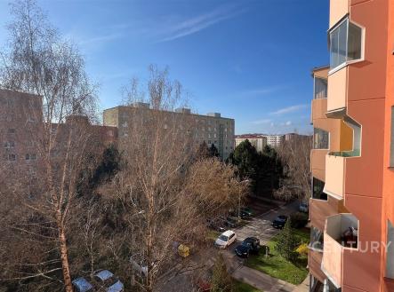 Pronájem bytu, 1+1, 41 m²