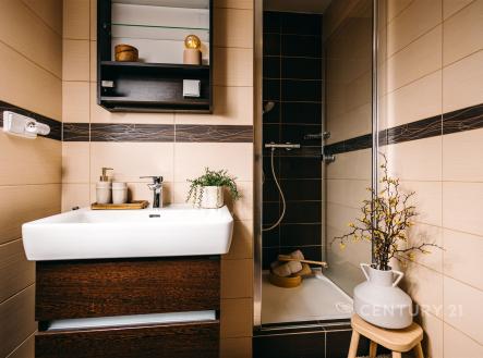 Pronájem bytu, 3+kk, 72 m²