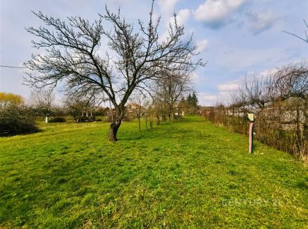 Prodej pozemku pro bydlení, 1 175 m²