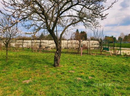 Prodej pozemku pro bydlení, 1 175 m²