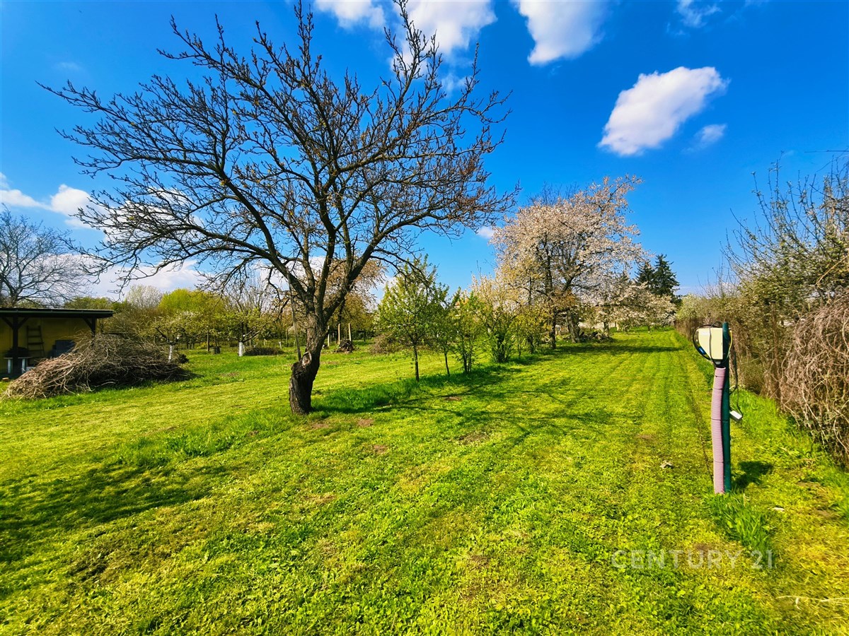 Rozlehlá zahrada s ovocnými stromy a udržovaným trávníkem, ideální pro rekreační účely, přírodní prostředí, klidná lokalita na okraji města.