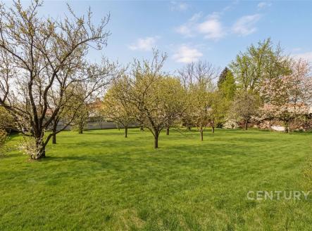 Prodej domu/vily, 366 m²