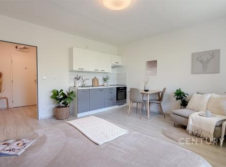 Prodej bytu, 2+kk, 32 m²