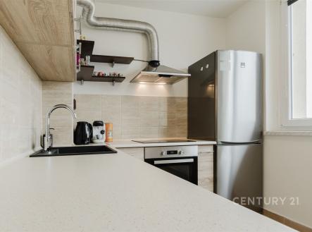 Pronájem bytu, 1+1, 39 m²