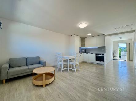 Pronájem bytu, 3+kk, 69 m²