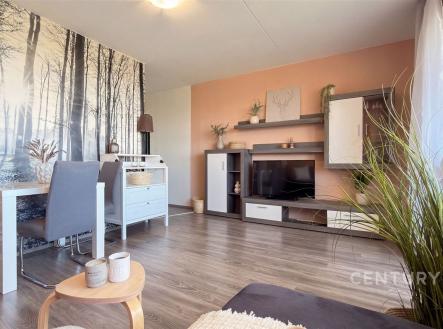 Prodej bytu, 2+kk, 46 m²