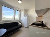 Pronájem bytu, 1+1, 32 m²