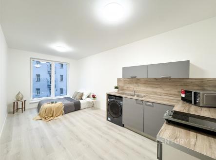 Pronájem bytu, 1+kk, 28 m²