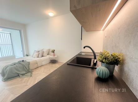 Pronájem bytu, 1+kk, 39 m²