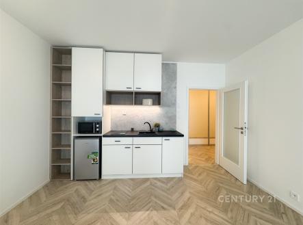 Pronájem bytu, 1+kk, 39 m²