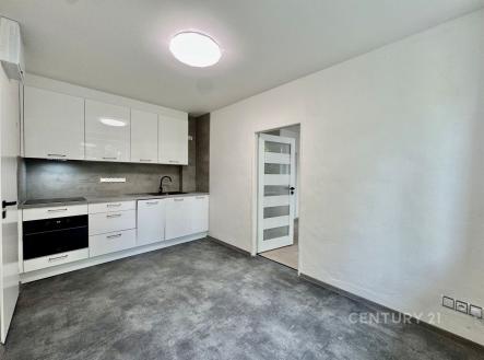 Pronájem bytu, 1+1, 48 m²