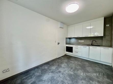 Pronájem bytu, 1+1, 48 m²