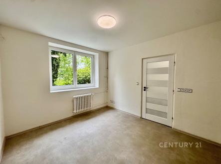 Pronájem bytu, 1+1, 48 m²