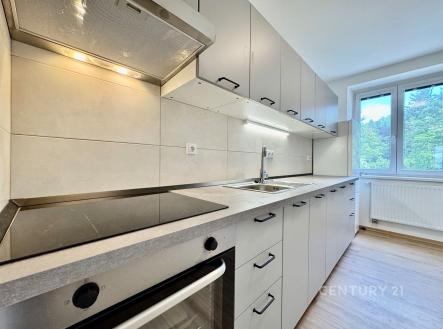 Pronájem bytu, 2+1, 68 m²