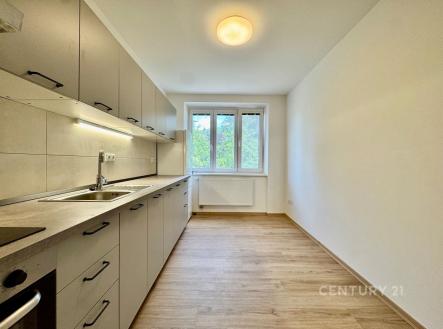 Pronájem bytu, 1+1, 40 m²