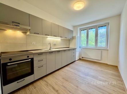 Pronájem bytu, 1+1, 40 m²