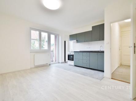 Pronájem bytu, 2+1, 57 m²