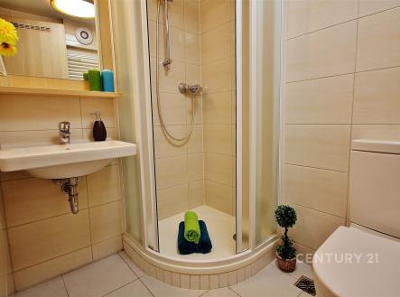 Pronájem bytu, garsoniéra, 17 m²