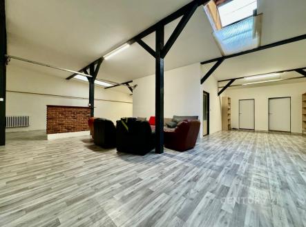 Pronájem bytu, 5+kk, 250 m²
