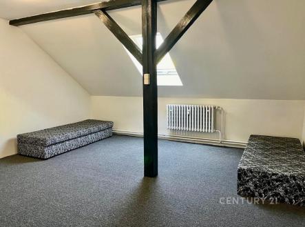 Pronájem bytu, 5+kk, 250 m²