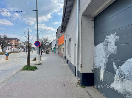 Pronájem bytu, 5+kk, 250 m²