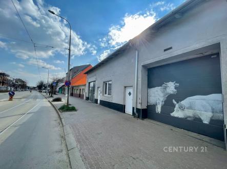 Pronájem bytu, 5+kk, 250 m²
