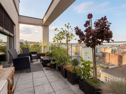 Pronájem bytu, 2+kk, 58 m²