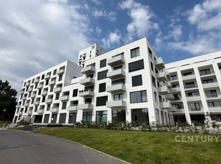 Pronájem bytu, 2+kk, 46 m²