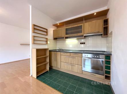 Pronájem bytu, 1+kk, 44 m²