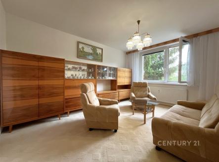 Pronájem bytu, 2+1, 53 m²