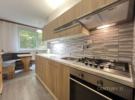 Pronájem bytu, 2+1, 53 m²