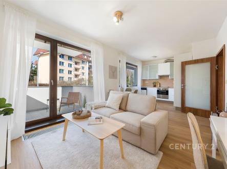 Pronájem bytu, 2+kk, 47 m²