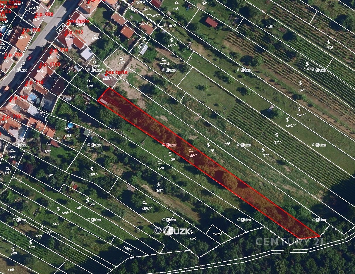 Ostatní