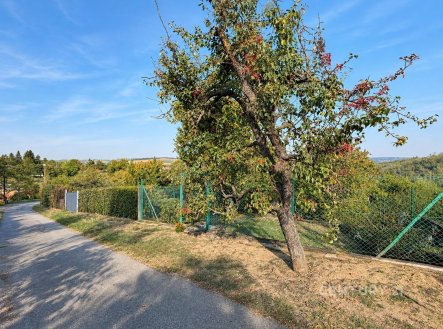 Prodej domu/vily, 150 m², Velatice – náhled fotky 3