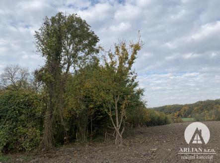 Prodej - pozemek, trvalý travní porost, 7 581 m²