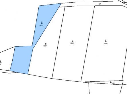 Prodej - pozemek, les, 10 000 m²