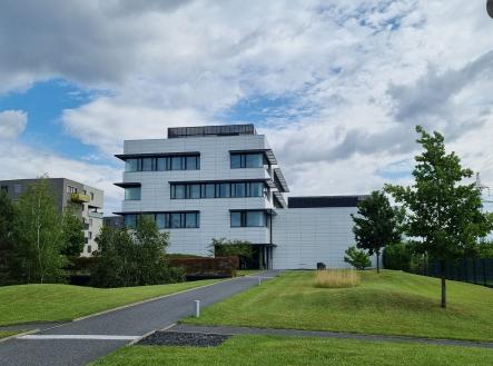 Pronájem kanceláře, 349 m²