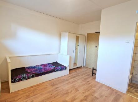 Pronájem bytu, 1+kk, 20 m²