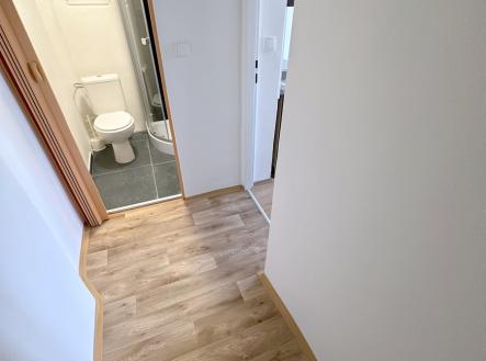 Pronájem bytu, 1+kk, 30 m²