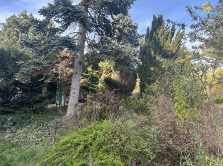 Pronájem pozemku, zahrada, 400 m²